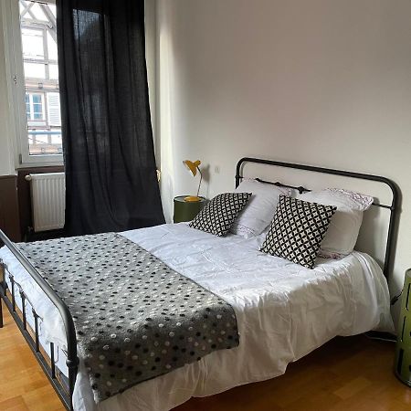 Il Piano Nobile Apartment Colmar Exterior photo